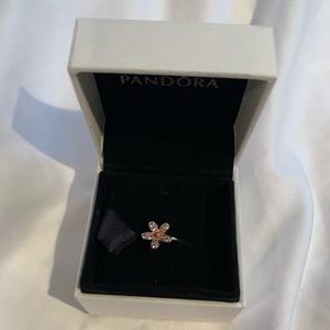 pandora daisy ring rose gold